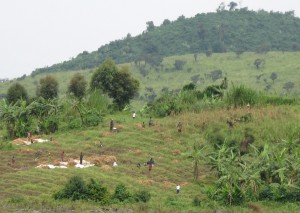 Resource projects are less likely to be delayed by controversy if stakeholders such as these farmers in central Africa are brought into the planning process early in a project’s development. Image by Carl Friesen)