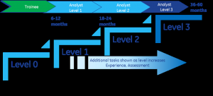 Data Analysis sample career path.